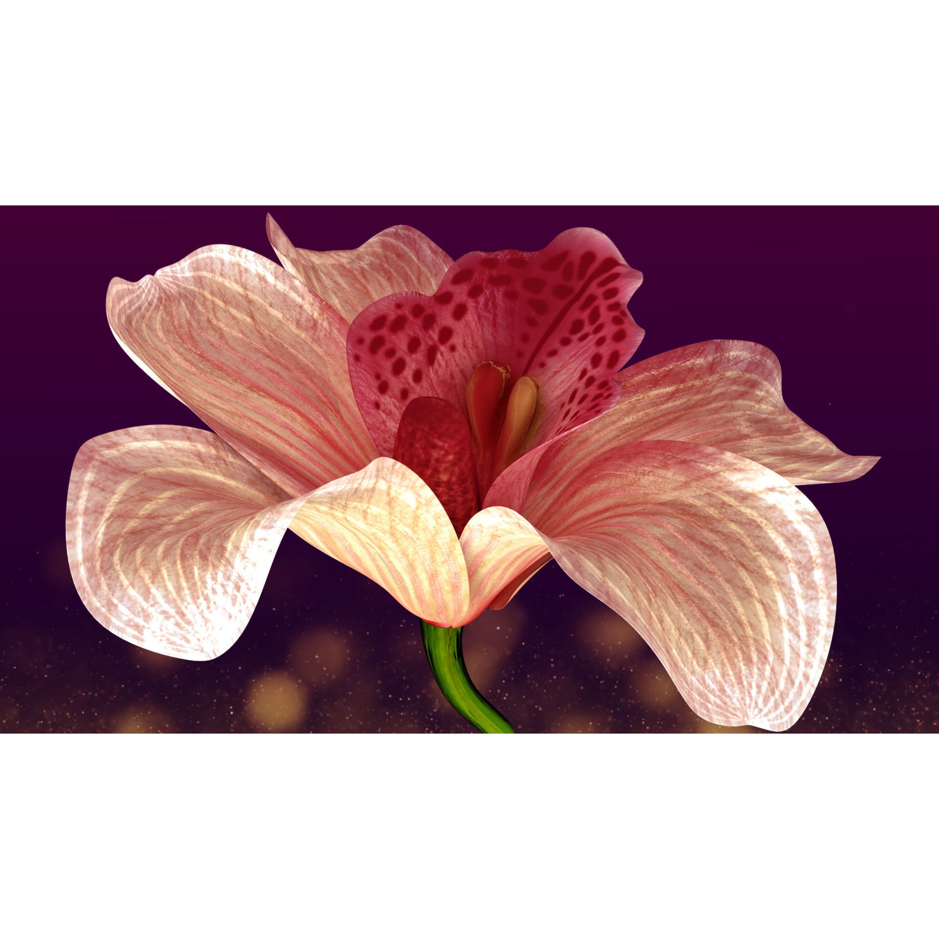 Animated Orchid Flower - Realistic 3D Model - View 7