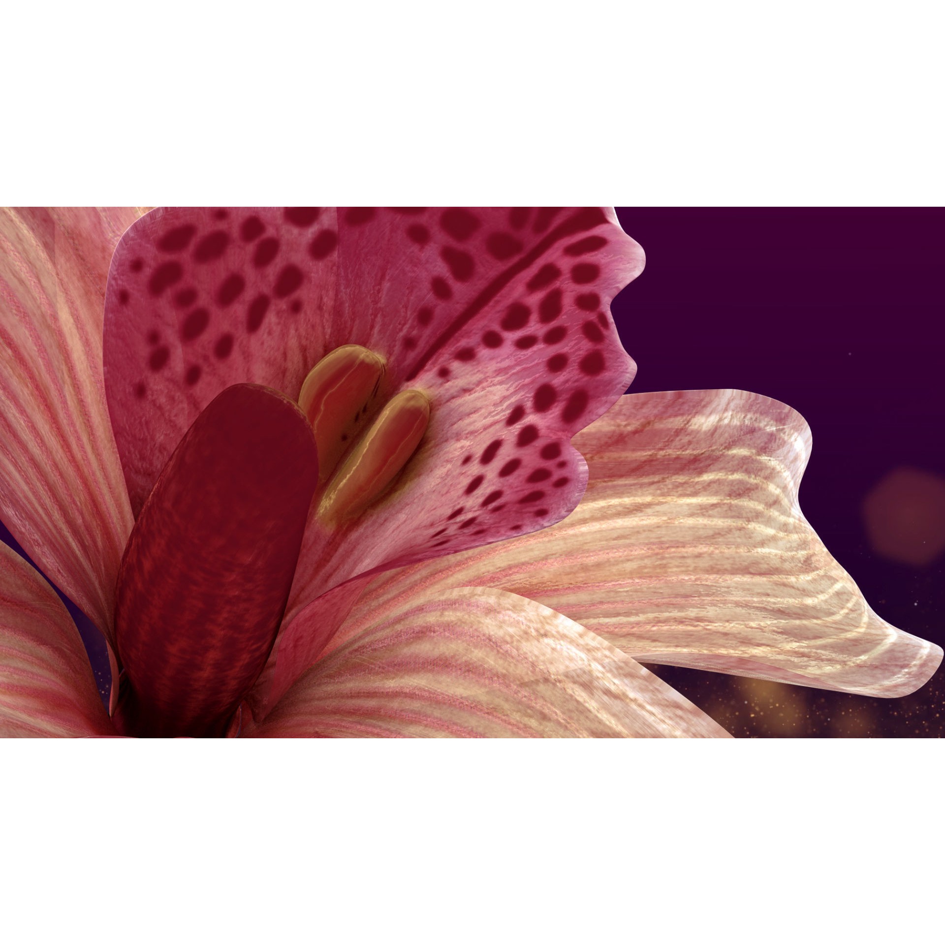 Animated Orchid Flower - Realistic 3D Model - View 8