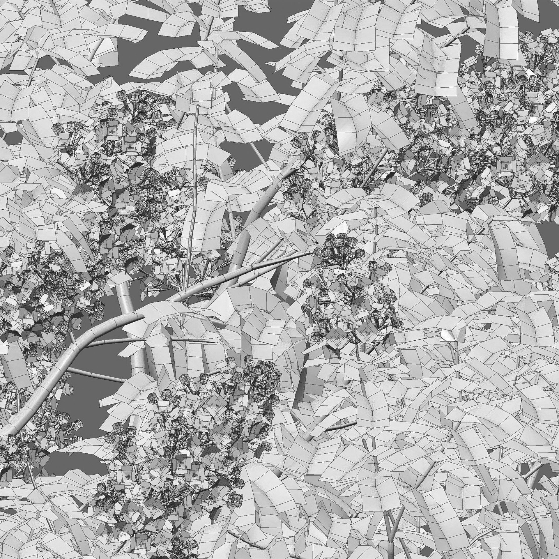 Syringa vulgaris - Low-Poly Game-Ready 3D Model - View 6