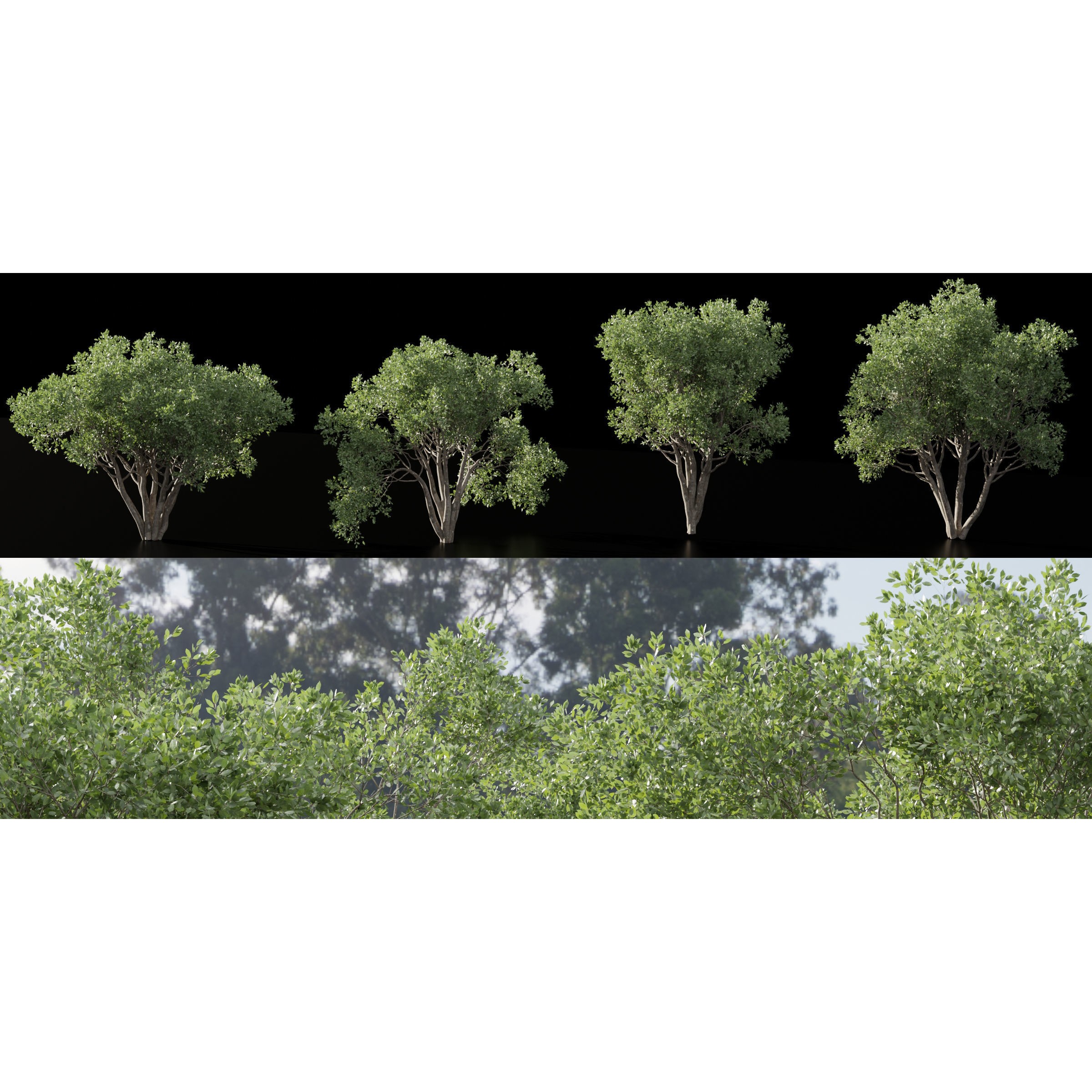 Shrubs Collection vol 241 - PBR Game-Ready 3D Model - View 10