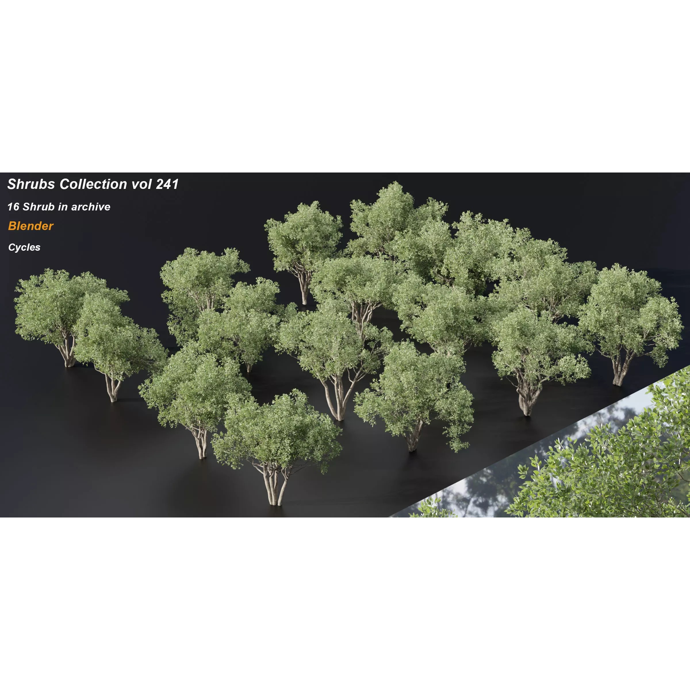 Shrubs Collection vol 241 - PBR Game-Ready 3D Model - View 2