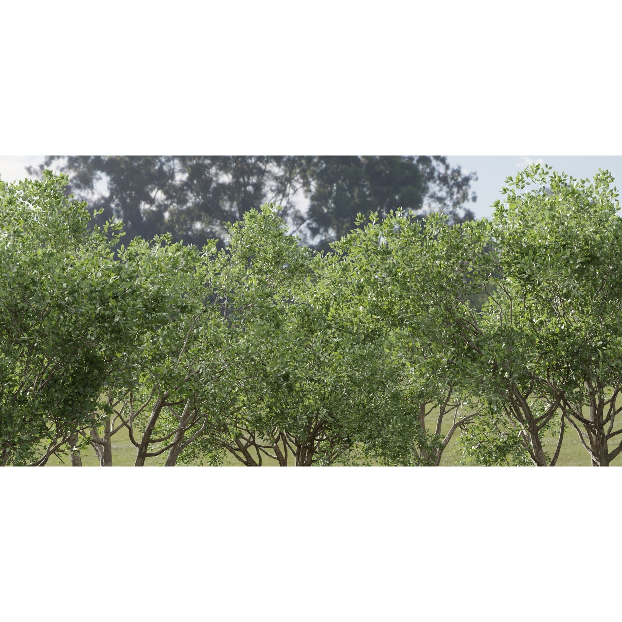 Shrubs Collection vol 241 - PBR Game-Ready 3D Model - View 4