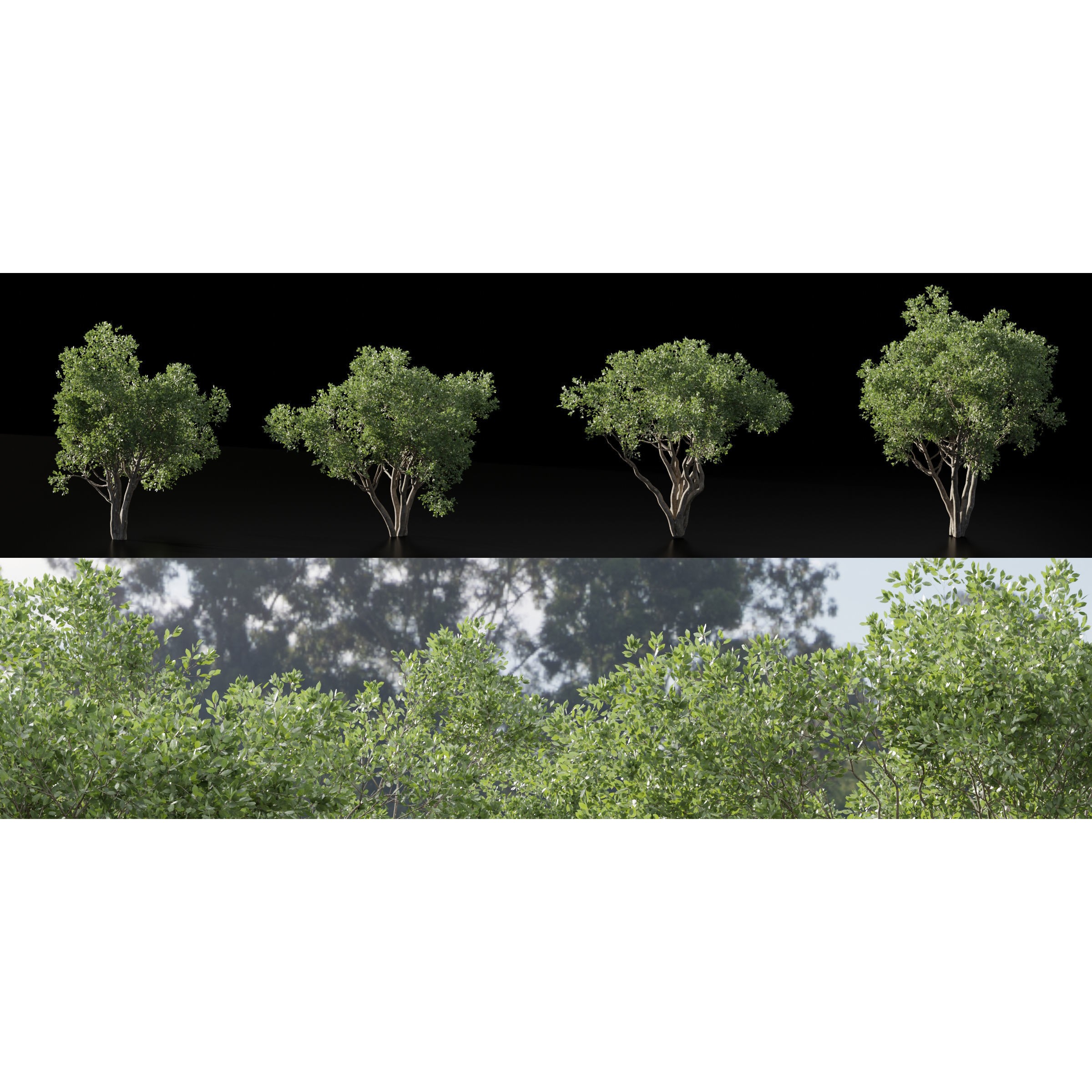 Shrubs Collection vol 241 - PBR Game-Ready 3D Model - View 7