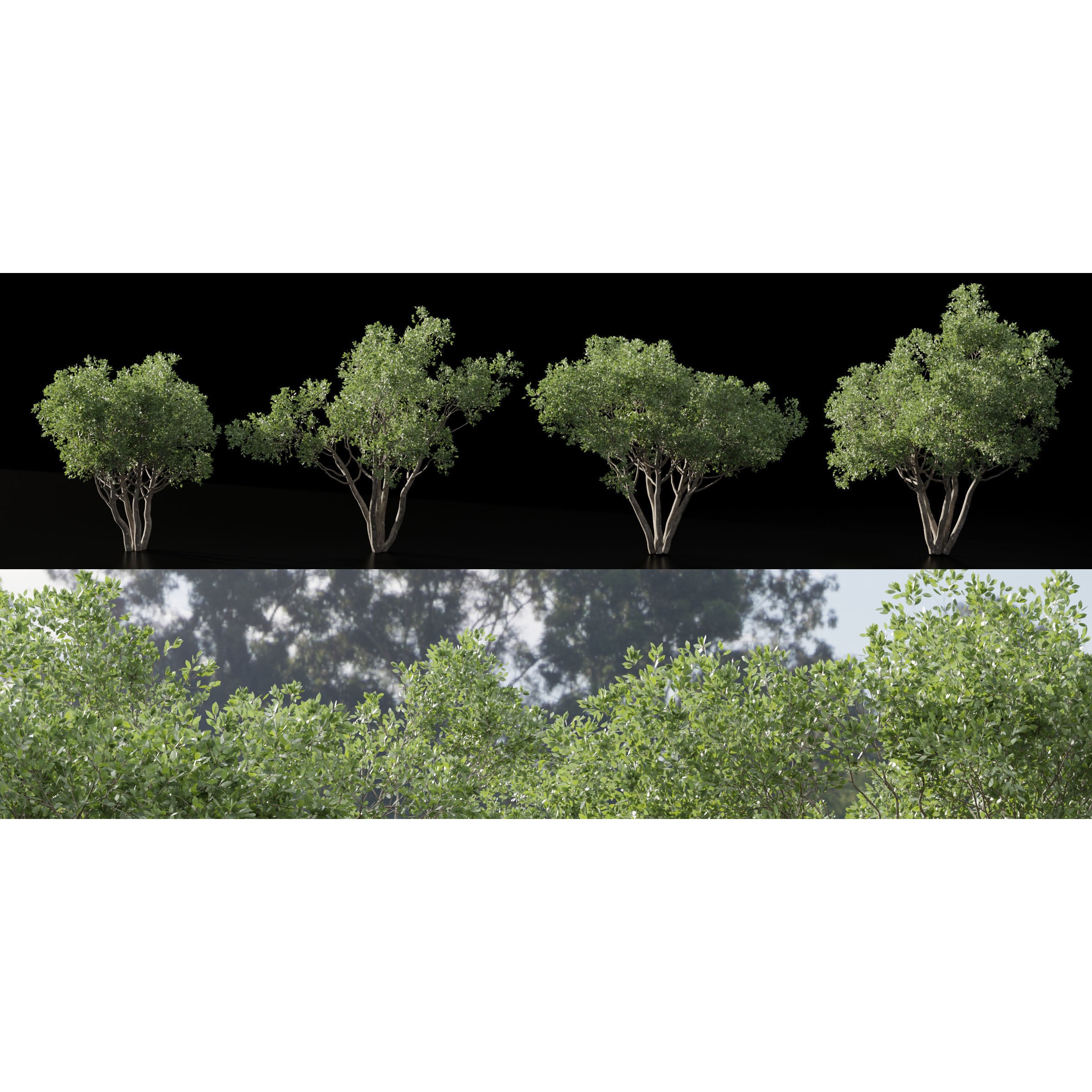 Shrubs Collection vol 241 - PBR Game-Ready 3D Model - View 8