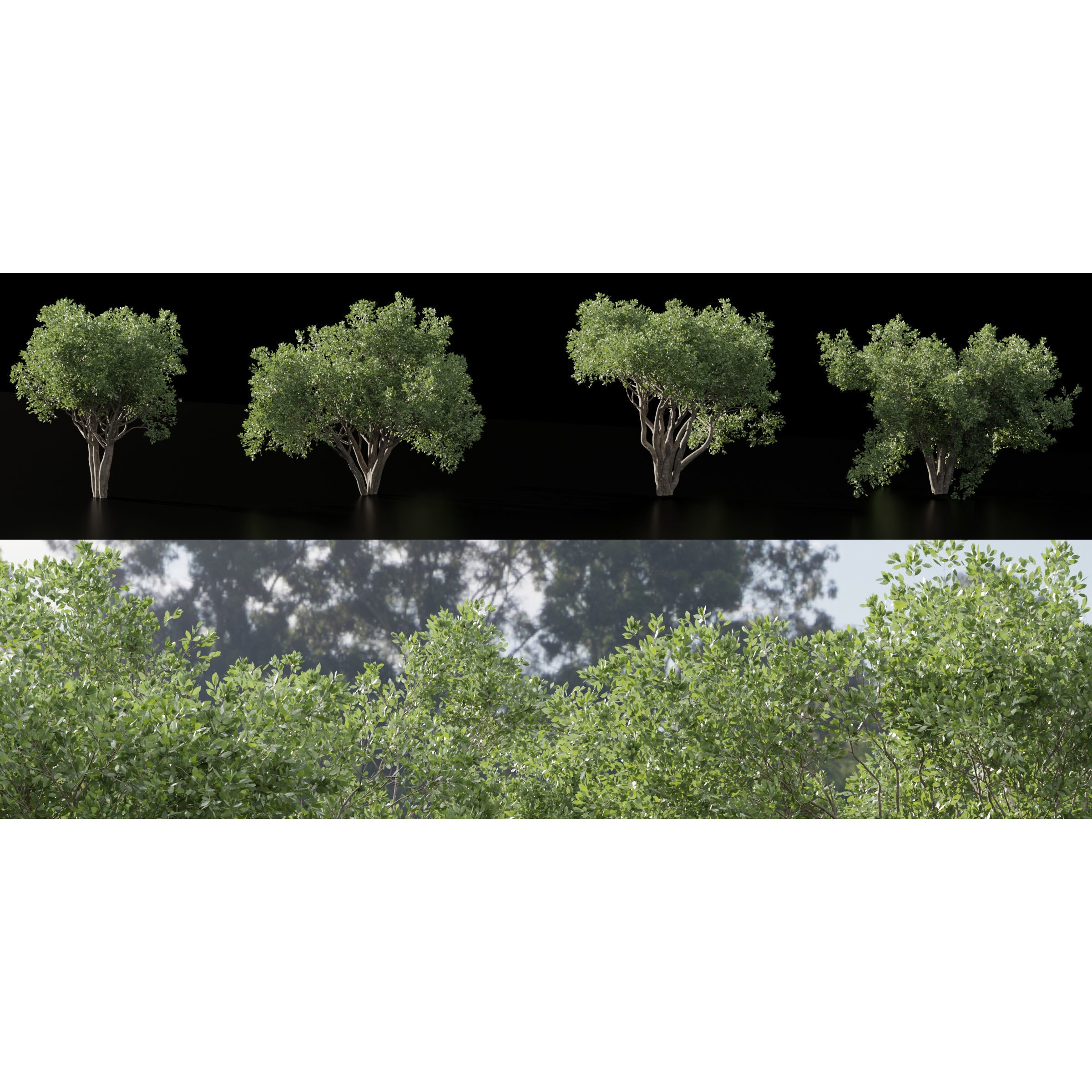Shrubs Collection vol 241 - PBR Game-Ready 3D Model - View 9