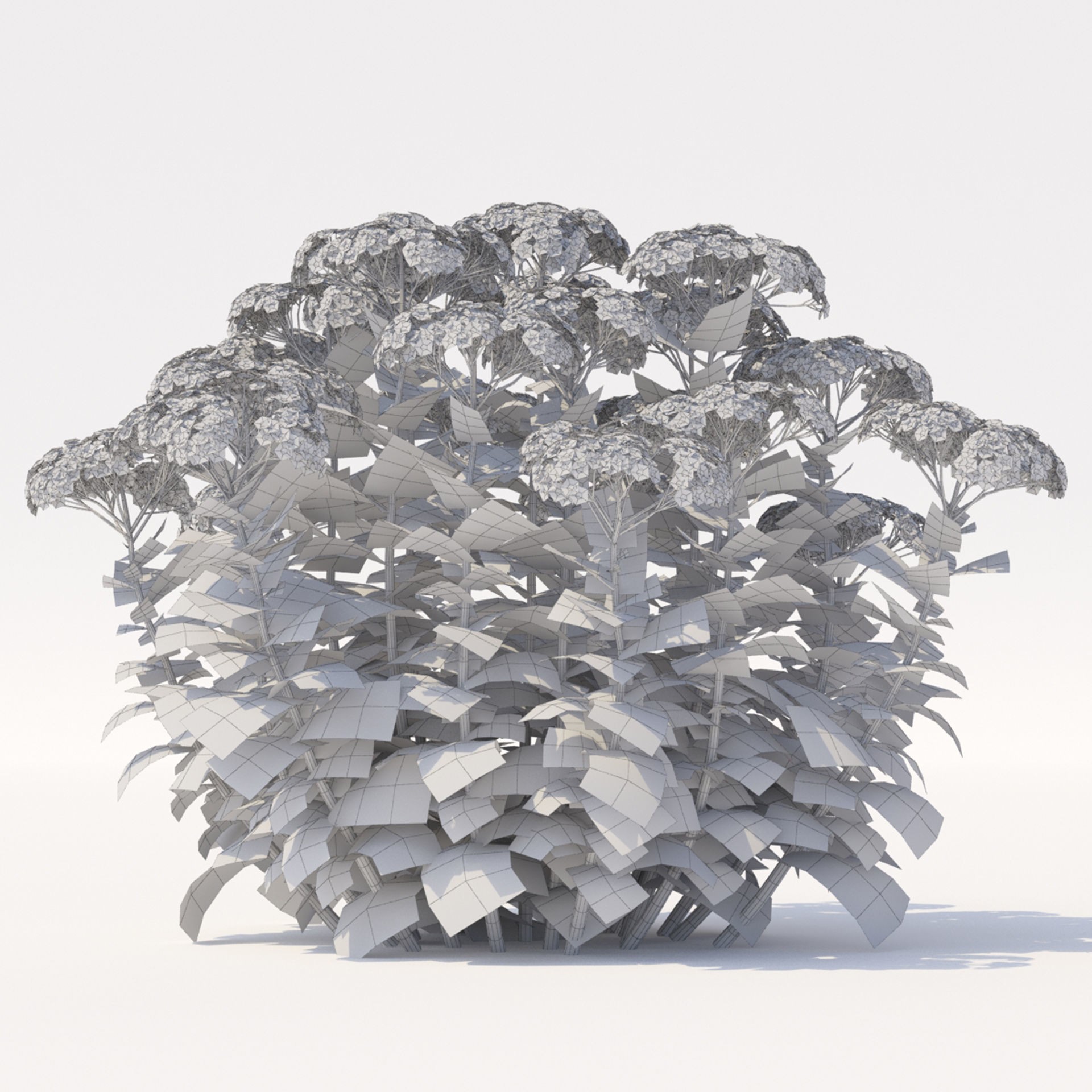 Sedum Spectabile - Low-Poly Game-Ready 3D Model - View 6