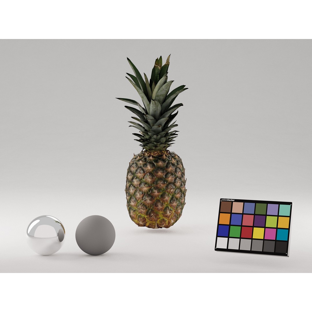 Pineapple 3D Model – Realistic Photogrammetry Asset, PBR Textures - View 11
