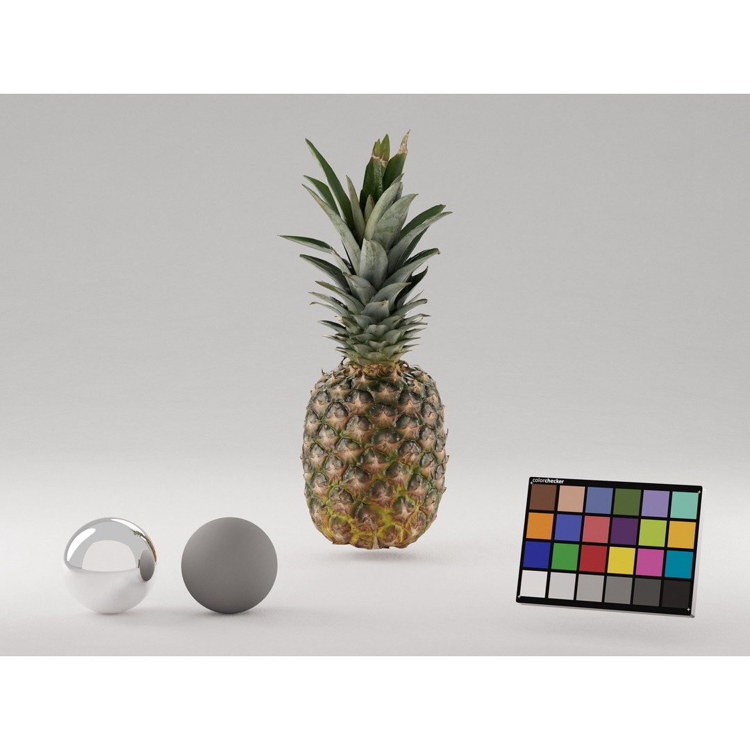 Pineapple 3D Model – Realistic Photogrammetry Asset, PBR Textures - View 4