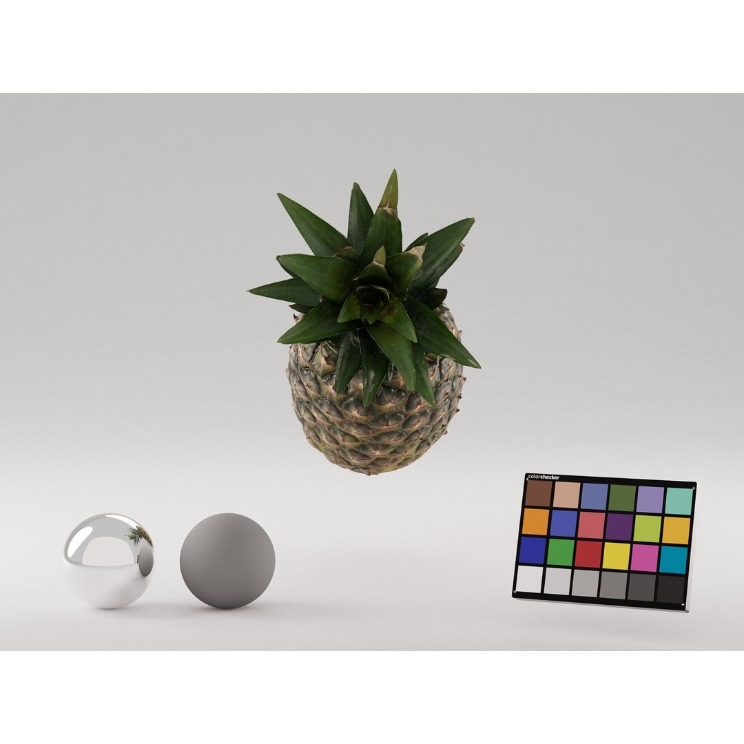 Pineapple 3D Model – Realistic Photogrammetry Asset, PBR Textures - View 6