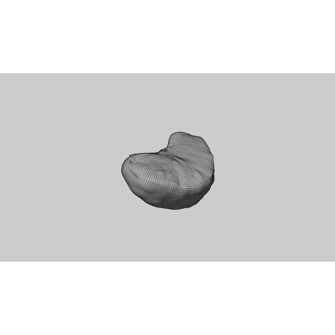 Mandarin Wedge Piece 3D Model – Photorealistic Food Asset, FBX, OBJ - View 10