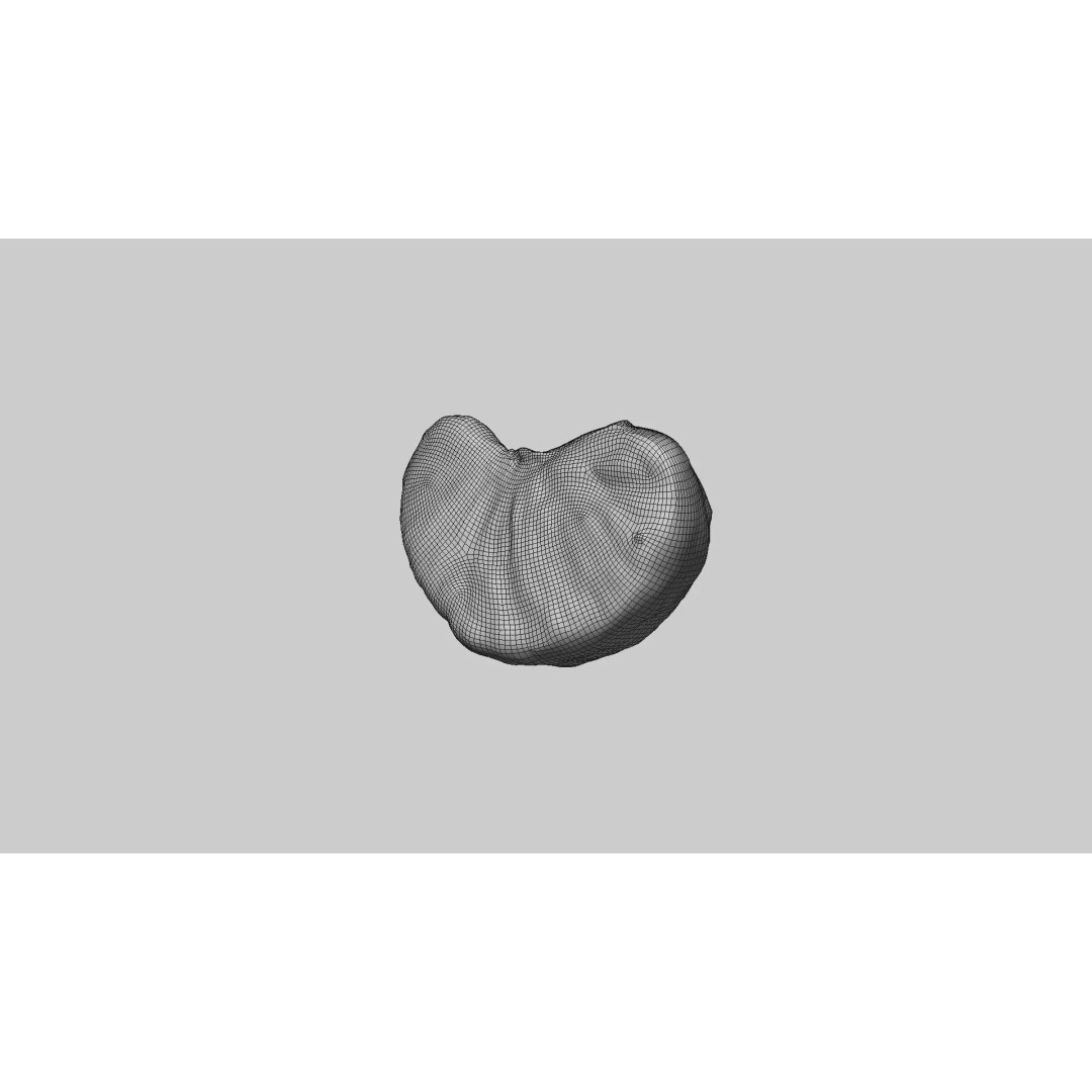 Mandarin Wedge Piece 3D Model – Photorealistic Food Asset, FBX, OBJ - View 7