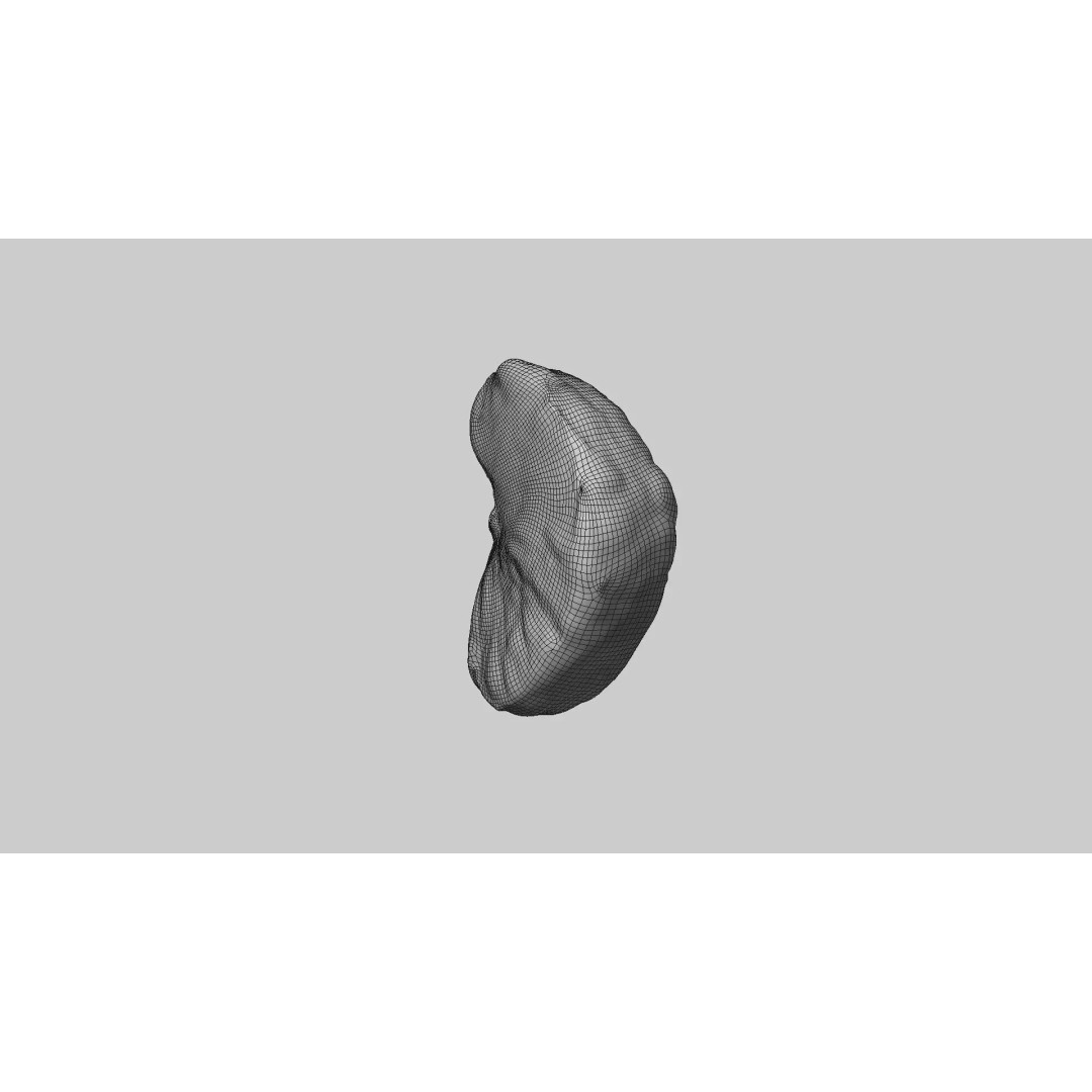 Mandarin Wedge Piece 3D Model – Photorealistic Food Asset, FBX, OBJ - View 9