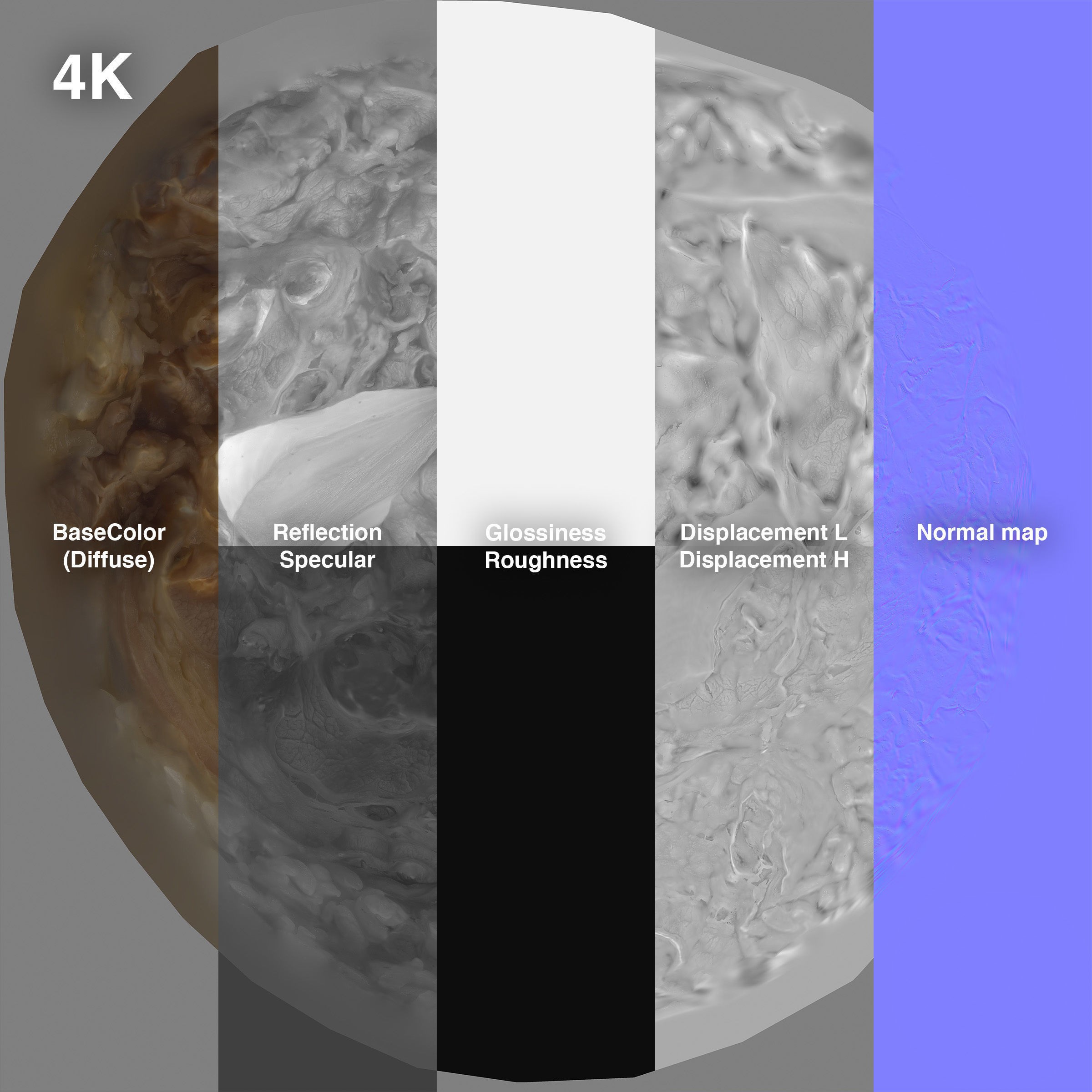 Gyudon and Donburi Bowl - Low-Poly Game-Ready 3D Model