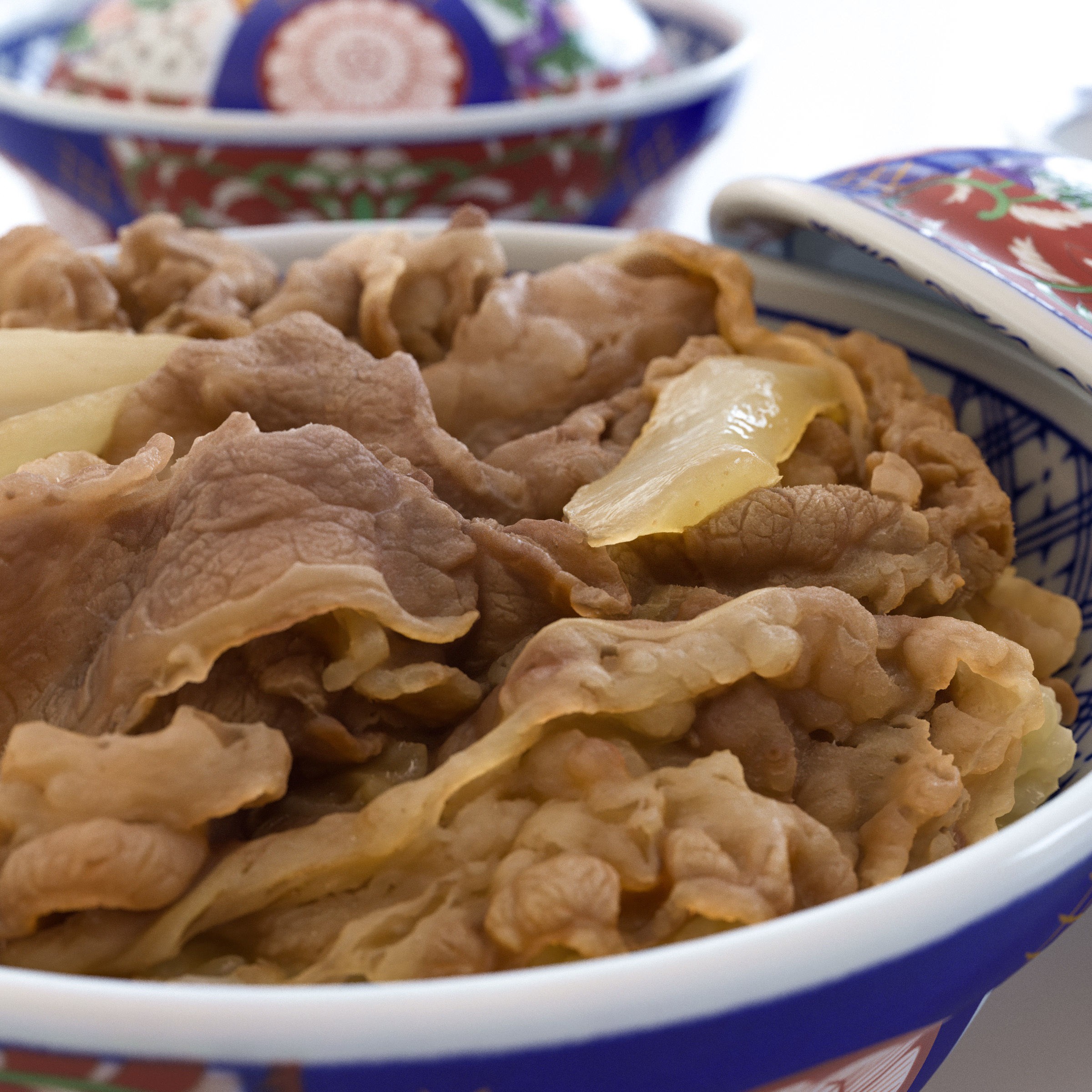 Gyudon and Donburi Bowl - Low-Poly Game-Ready 3D Model - View 3