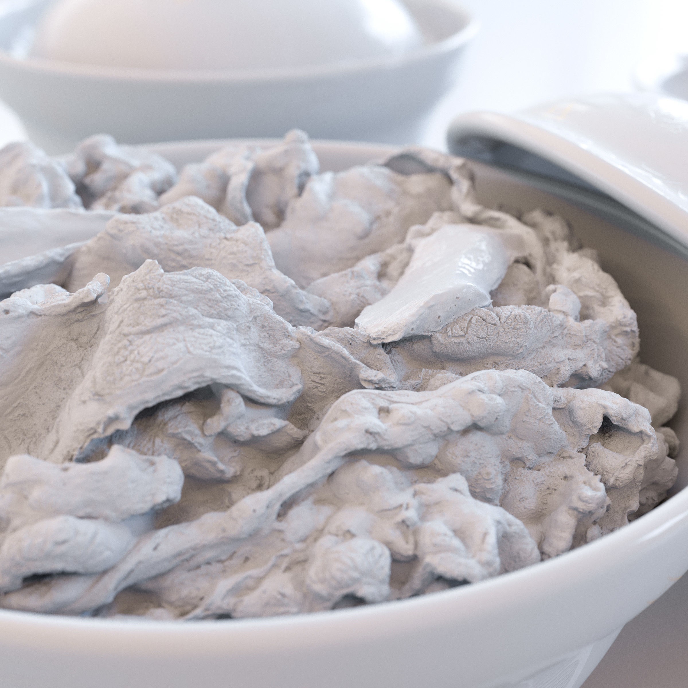 Gyudon and Donburi Bowl - Low-Poly Game-Ready 3D Model - View 6