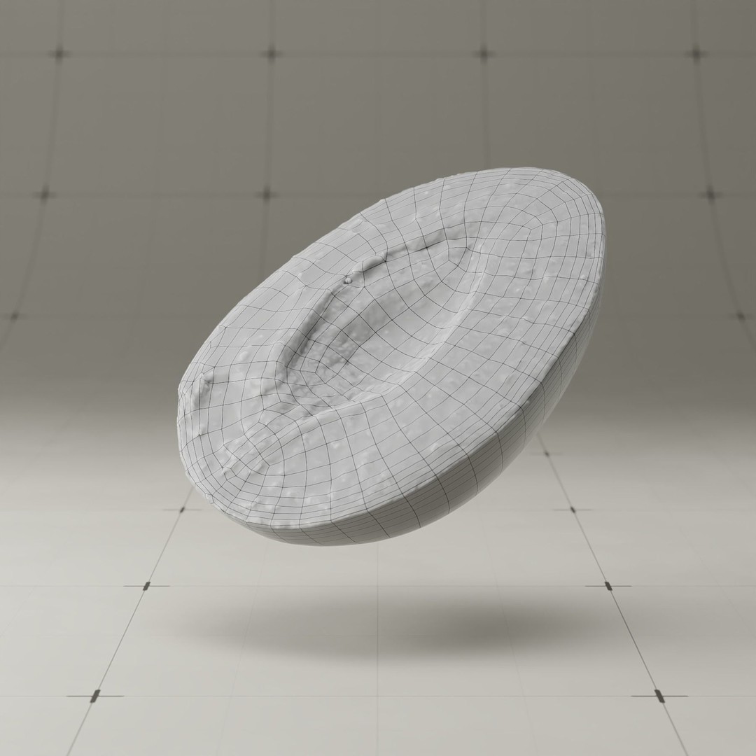 Photorealistic Plum 3D Model – High Poly PBR Asset, Blender & FBX