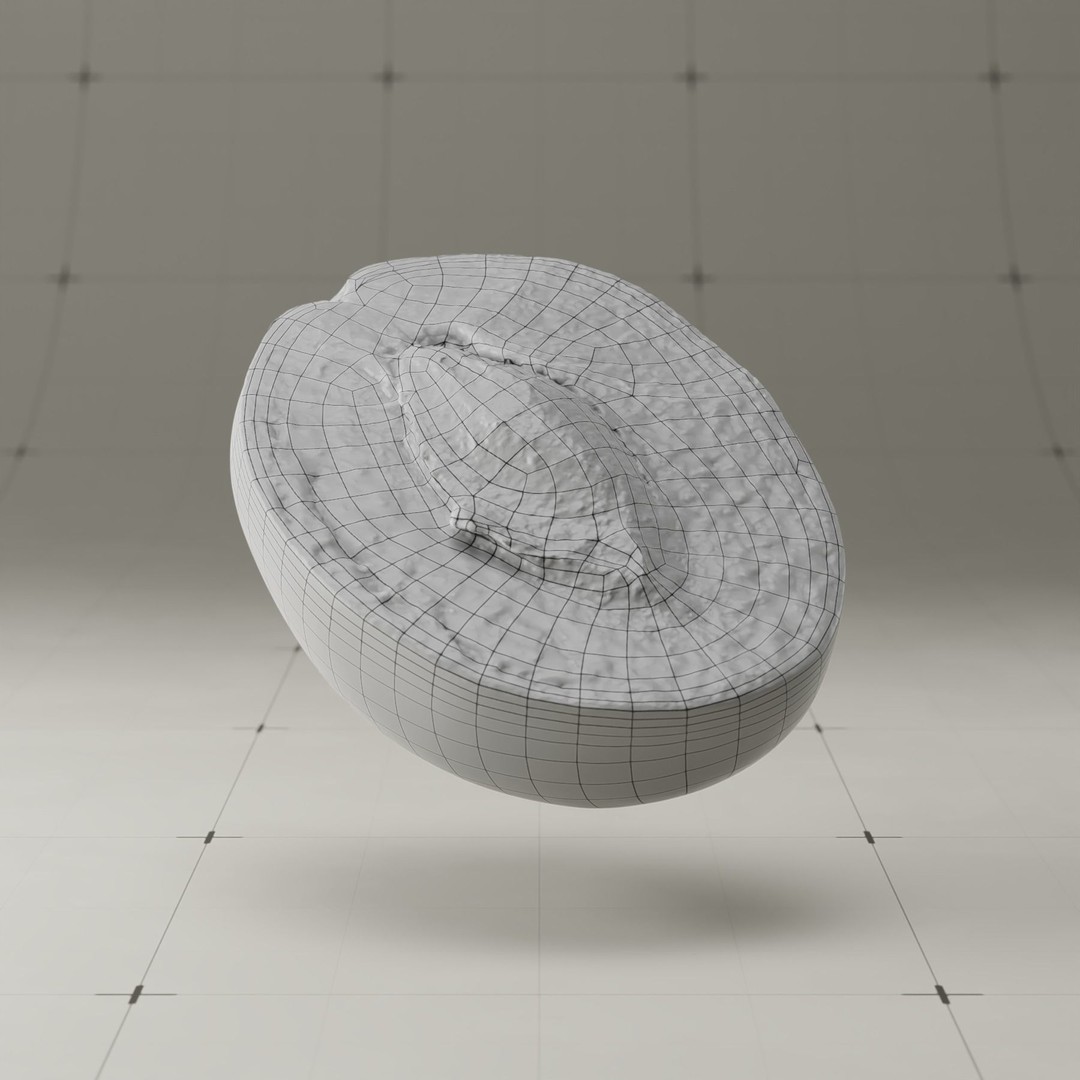 Photorealistic Plum 3D Model – High Poly PBR Asset, Blender & FBX - View 26