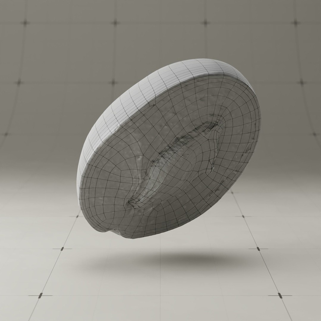 Photorealistic Plum 3D Model – High Poly PBR Asset, Blender & FBX - View 29