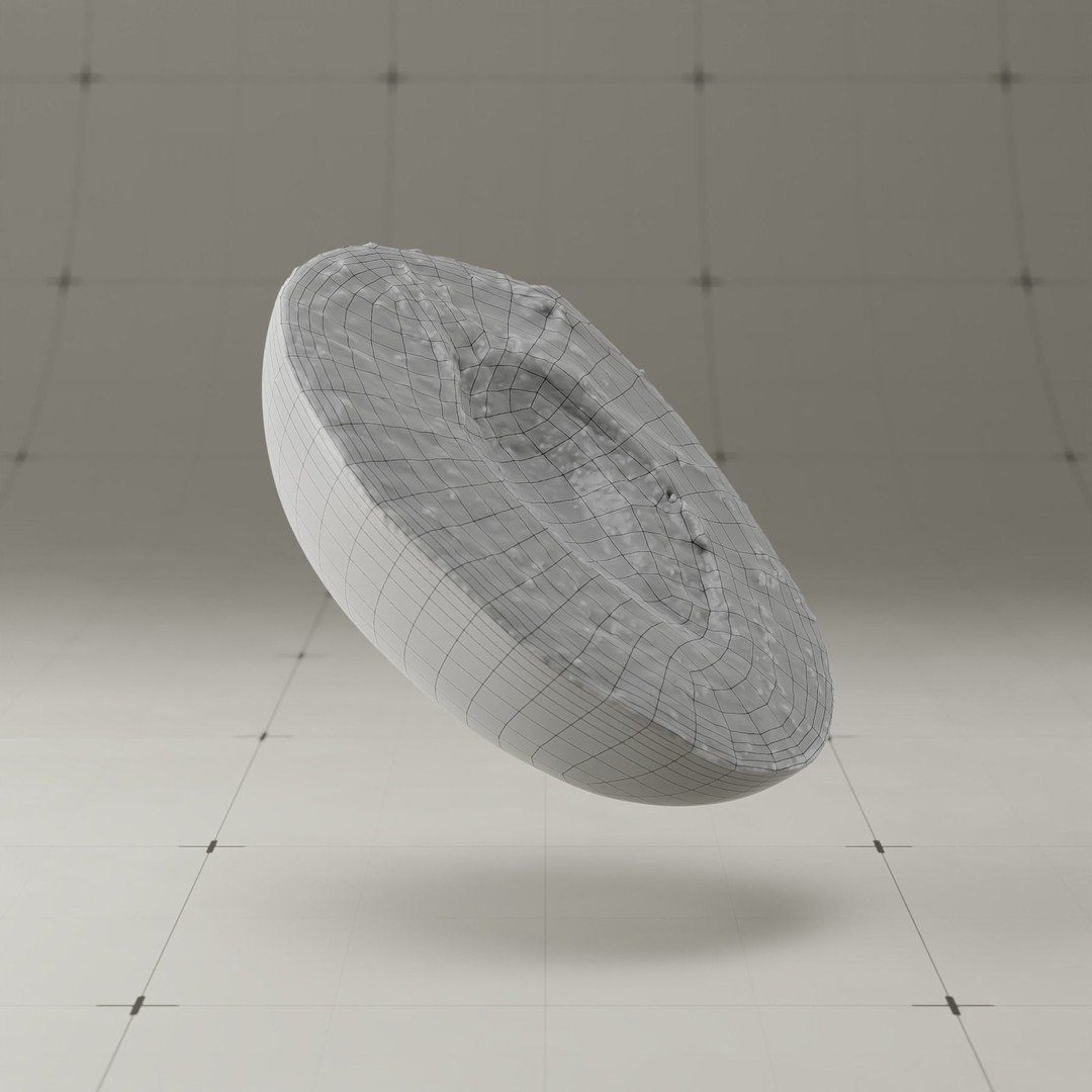 Photorealistic Plum 3D Model – High Poly PBR Asset, Blender & FBX - View 31