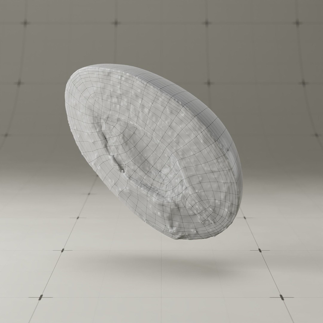 Photorealistic Plum 3D Model – High Poly PBR Asset, Blender & FBX - View 32