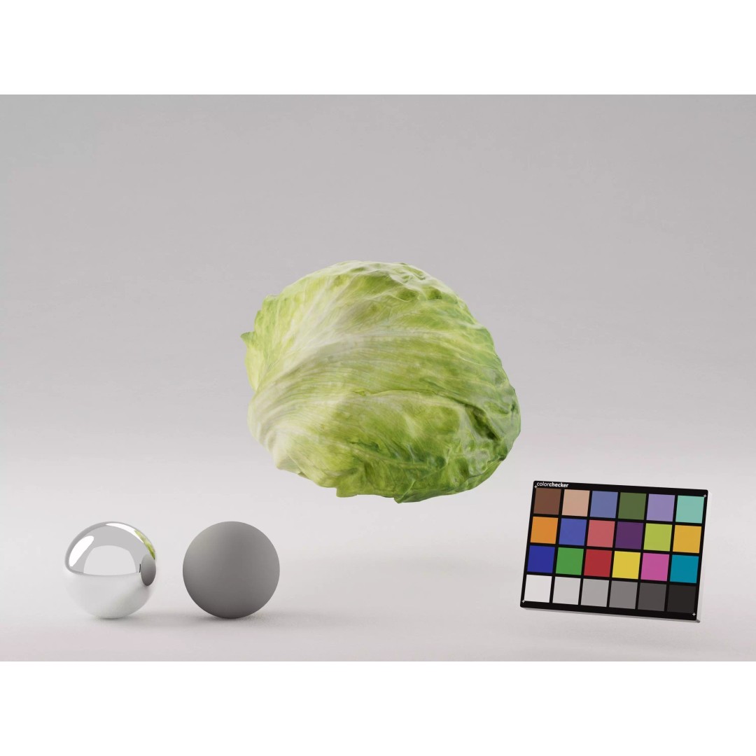 Iceberg Lettuce 3D Model – Realistic PBR Game Asset, FBX, OBJ, C4D - View 2
