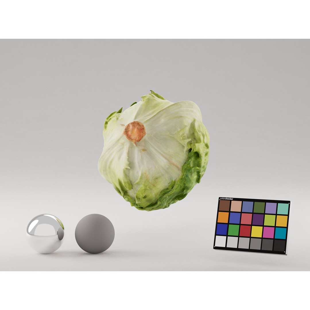 Iceberg Lettuce 3D Model – Realistic PBR Game Asset, FBX, OBJ, C4D - View 3