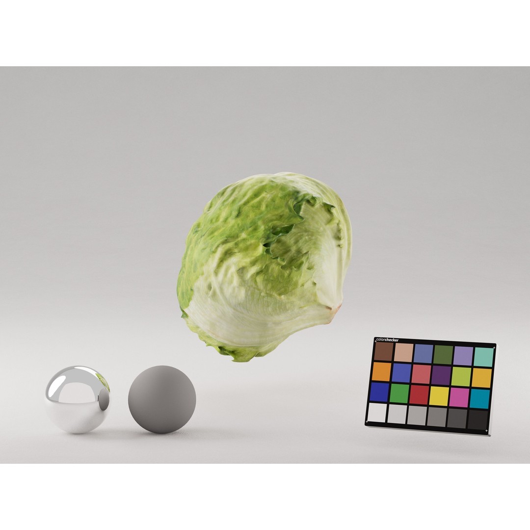 Iceberg Lettuce 3D Model – Realistic PBR Game Asset, FBX, OBJ, C4D - View 4