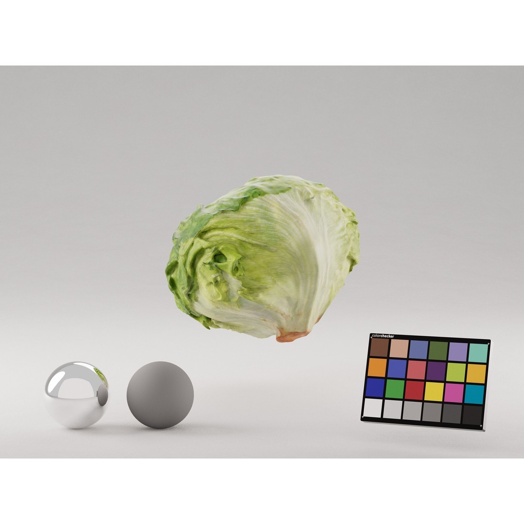 Iceberg Lettuce 3D Model – Realistic PBR Game Asset, FBX, OBJ, C4D - View 5