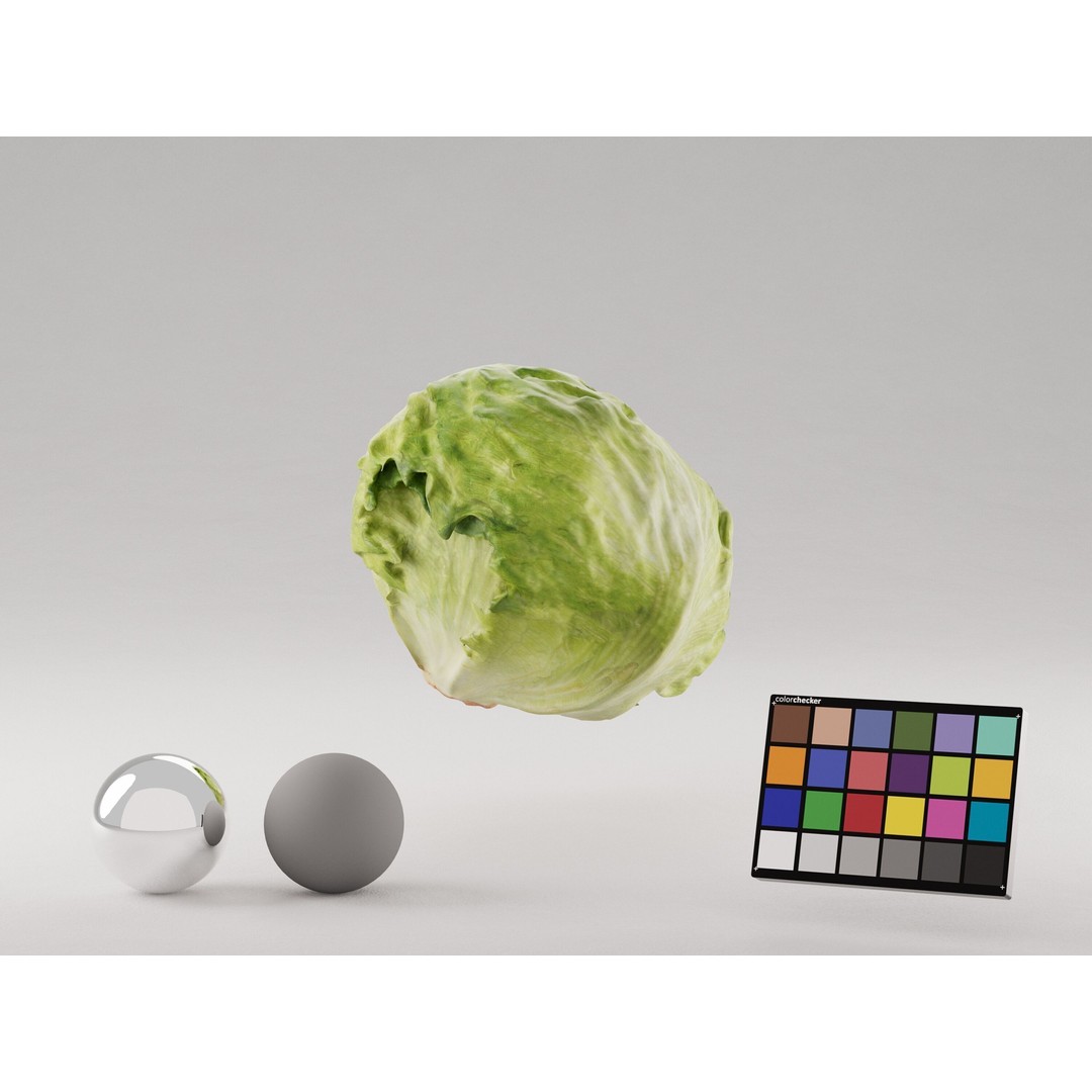 Iceberg Lettuce 3D Model – Realistic PBR Game Asset, FBX, OBJ, C4D - View 6