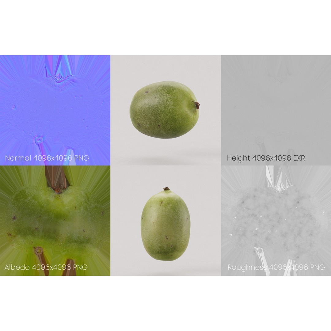 Kiwi Berry 3D Model – Low Poly Realistic Fruit Asset, FBX, OBJ