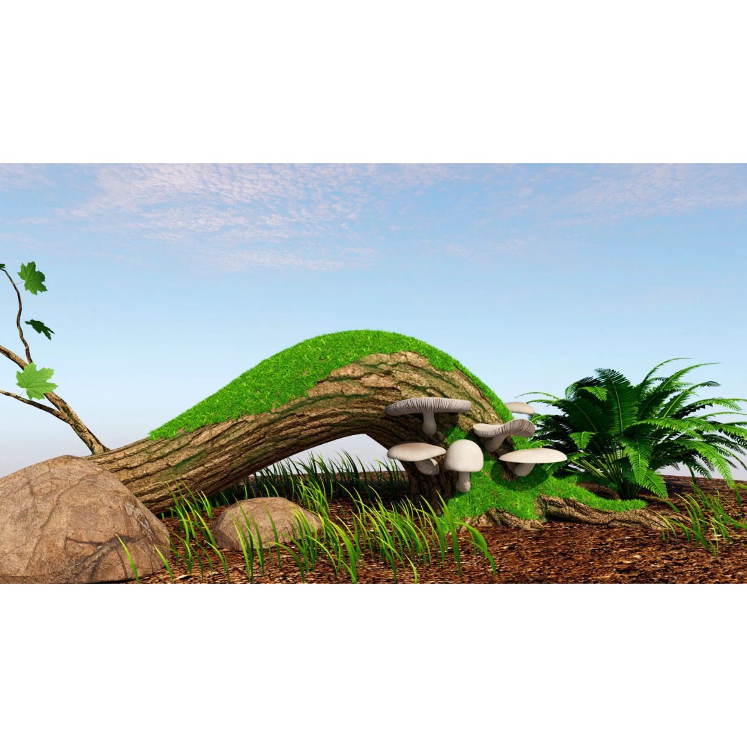 Oyster Mushroom 3D Model – Low Poly PBR Game Asset, FBX - View 3