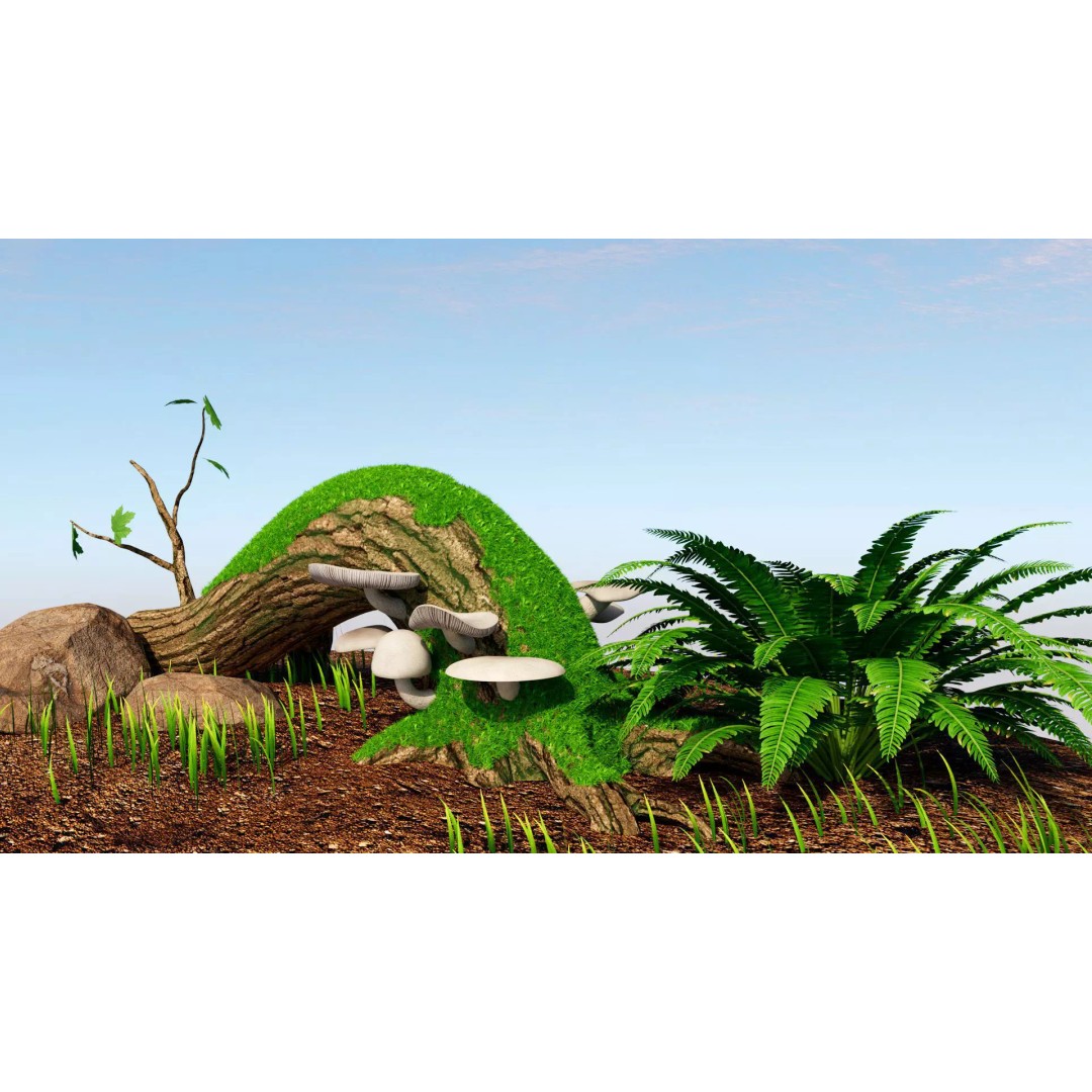 Oyster Mushroom 3D Model – Low Poly PBR Game Asset, FBX - View 4