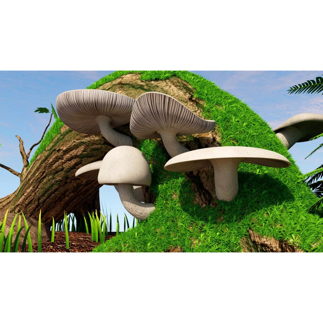 Oyster Mushroom 3D Model – Low Poly PBR Game Asset, FBX - View 7