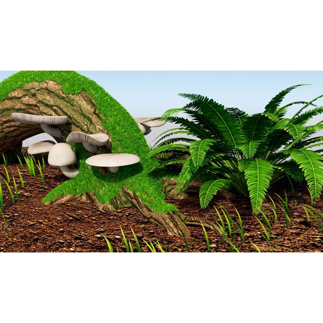 Oyster Mushroom 3D Model – Low Poly PBR Game Asset, FBX - View 9