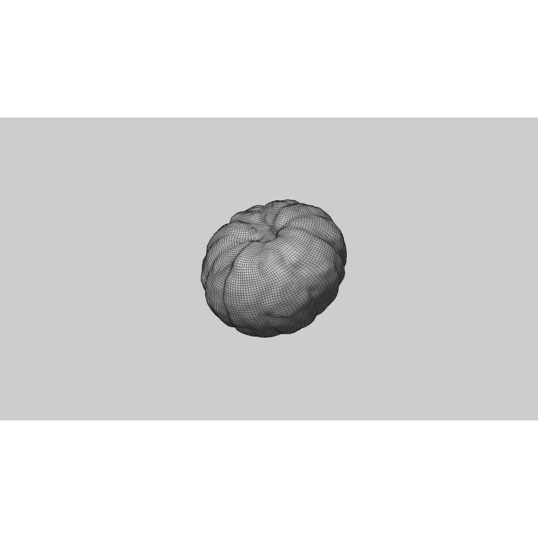 Peeled Mandarin 3D Model – Realistic Food Asset with PBR Textures - View 7