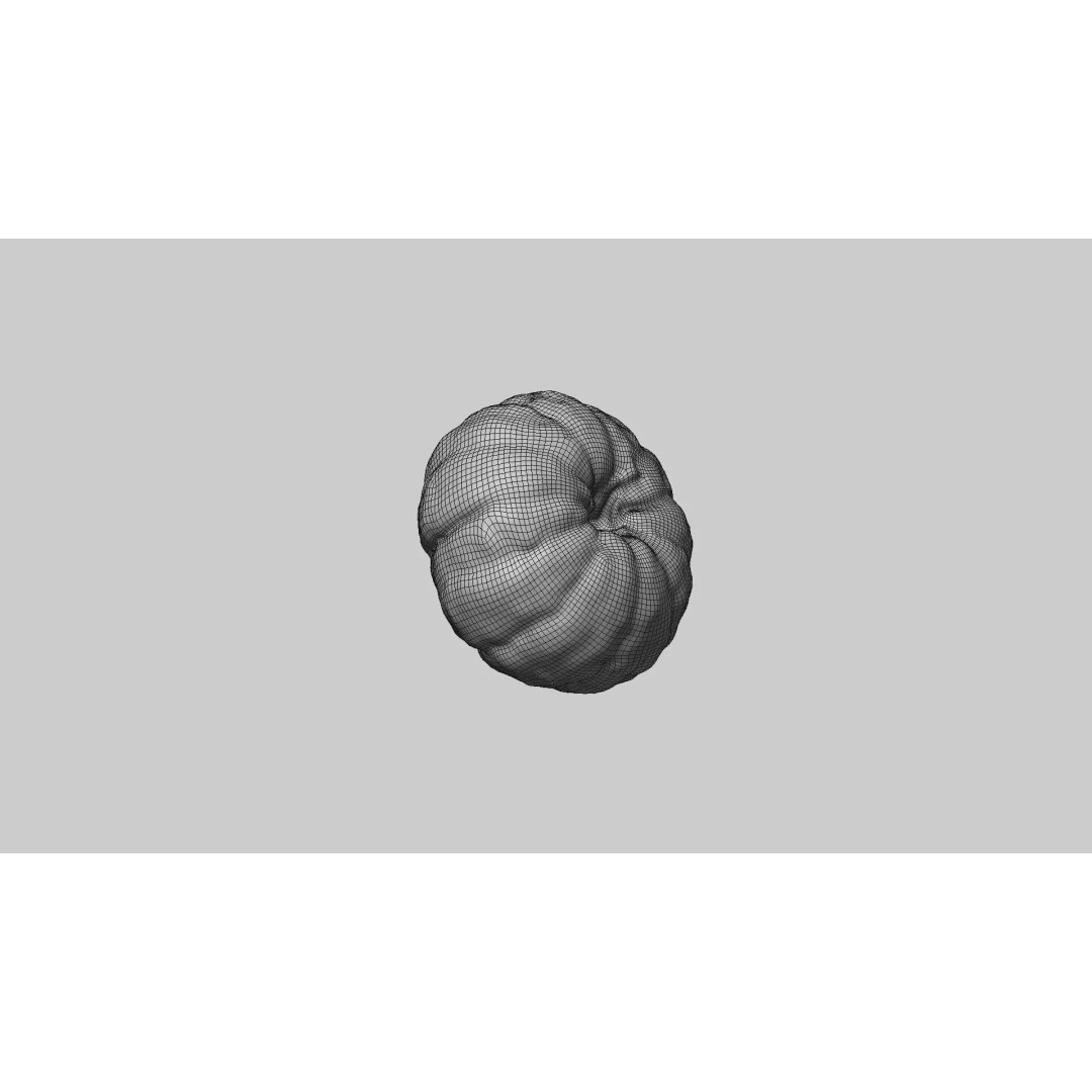 Peeled Mandarin 3D Model – Realistic Food Asset with PBR Textures - View 8