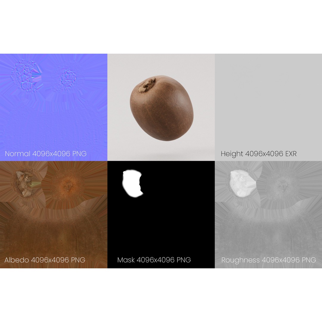 Kiwi 3D Model – Low Poly Photogrammetry Asset, FBX, OBJ