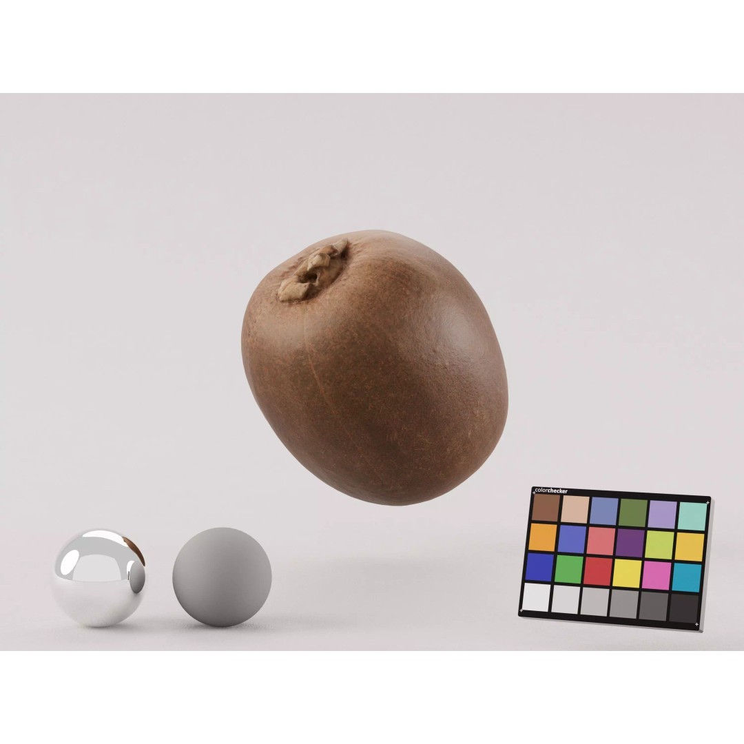 Kiwi 3D Model – Low Poly Photogrammetry Asset, FBX, OBJ - View 2