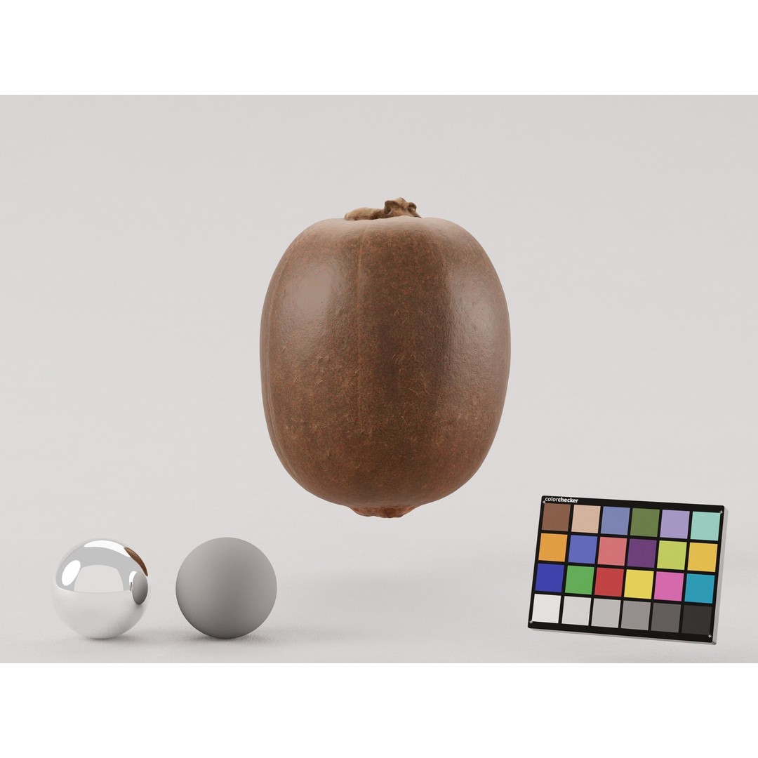 Kiwi 3D Model – Low Poly Photogrammetry Asset, FBX, OBJ - View 4