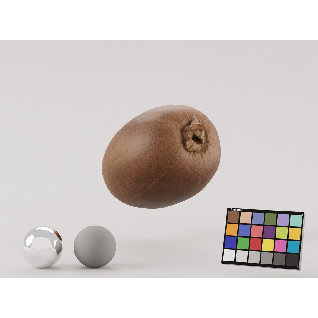 Kiwi 3D Model – Low Poly Photogrammetry Asset, FBX, OBJ - View 5