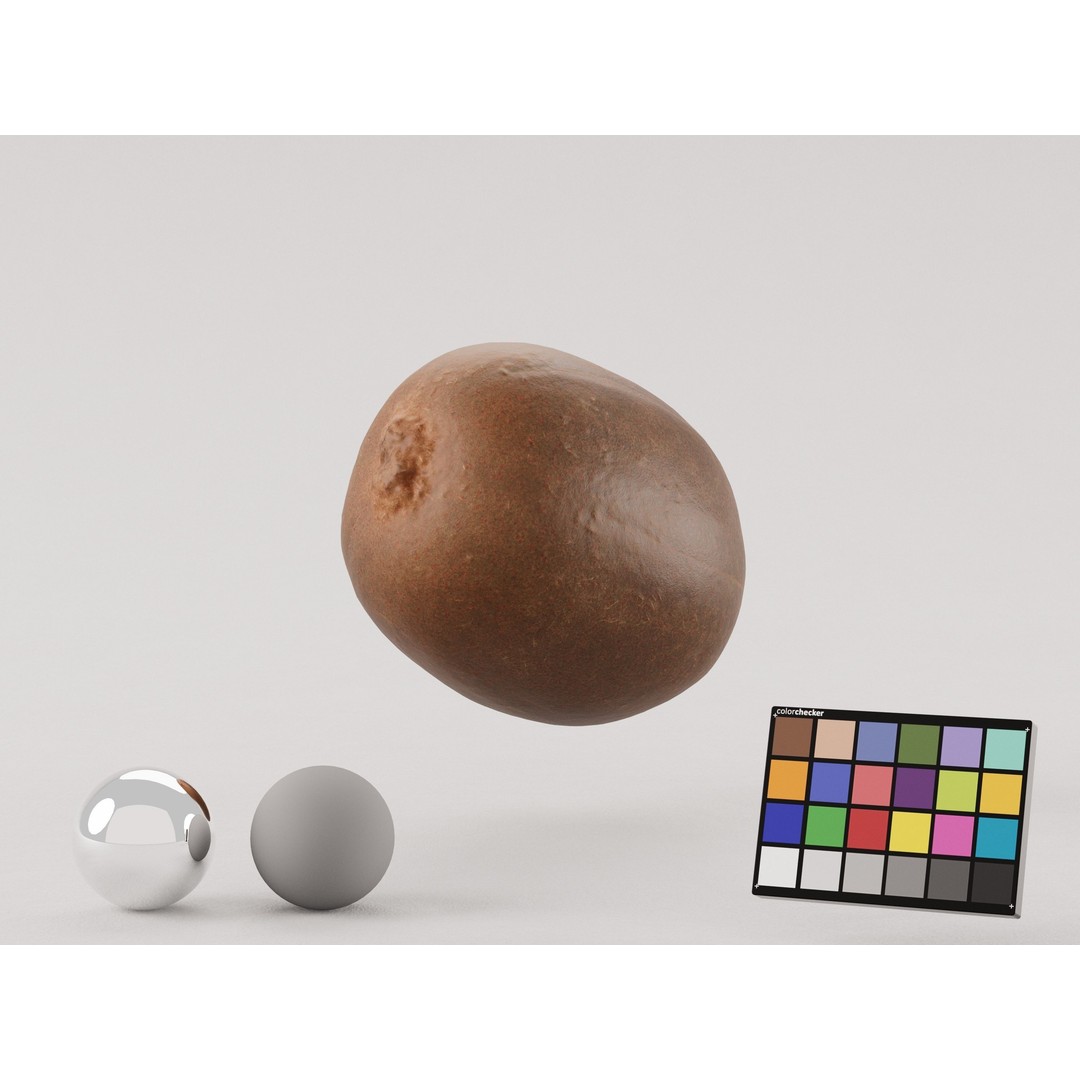 Kiwi 3D Model – Low Poly Photogrammetry Asset, FBX, OBJ - View 6