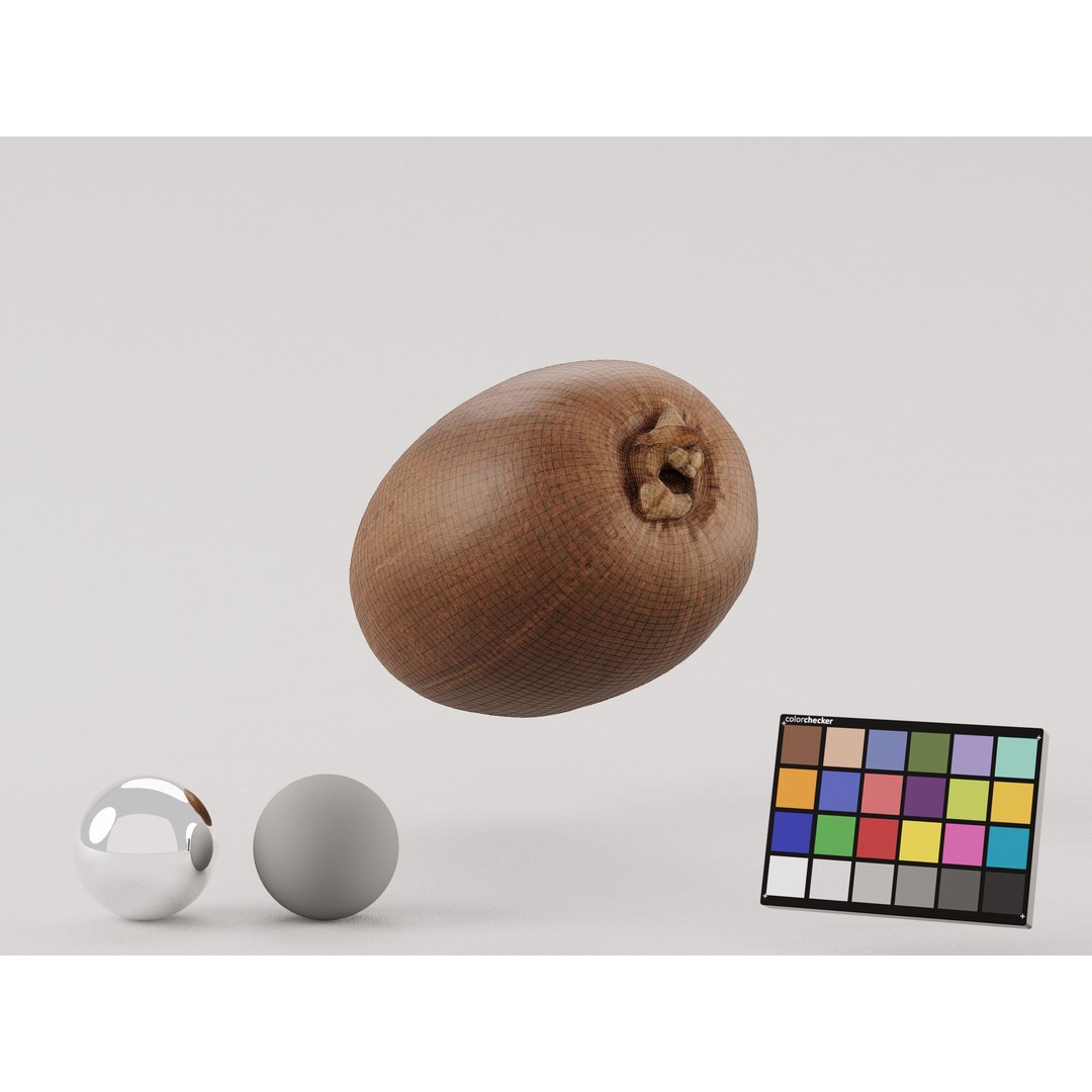 Kiwi 3D Model – Low Poly Photogrammetry Asset, FBX, OBJ - View 8
