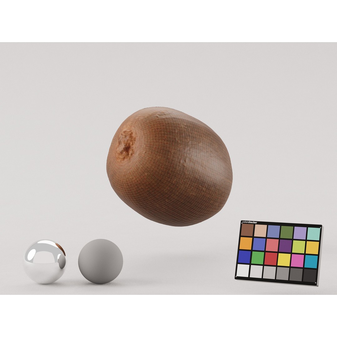 Kiwi 3D Model – Low Poly Photogrammetry Asset, FBX, OBJ - View 9