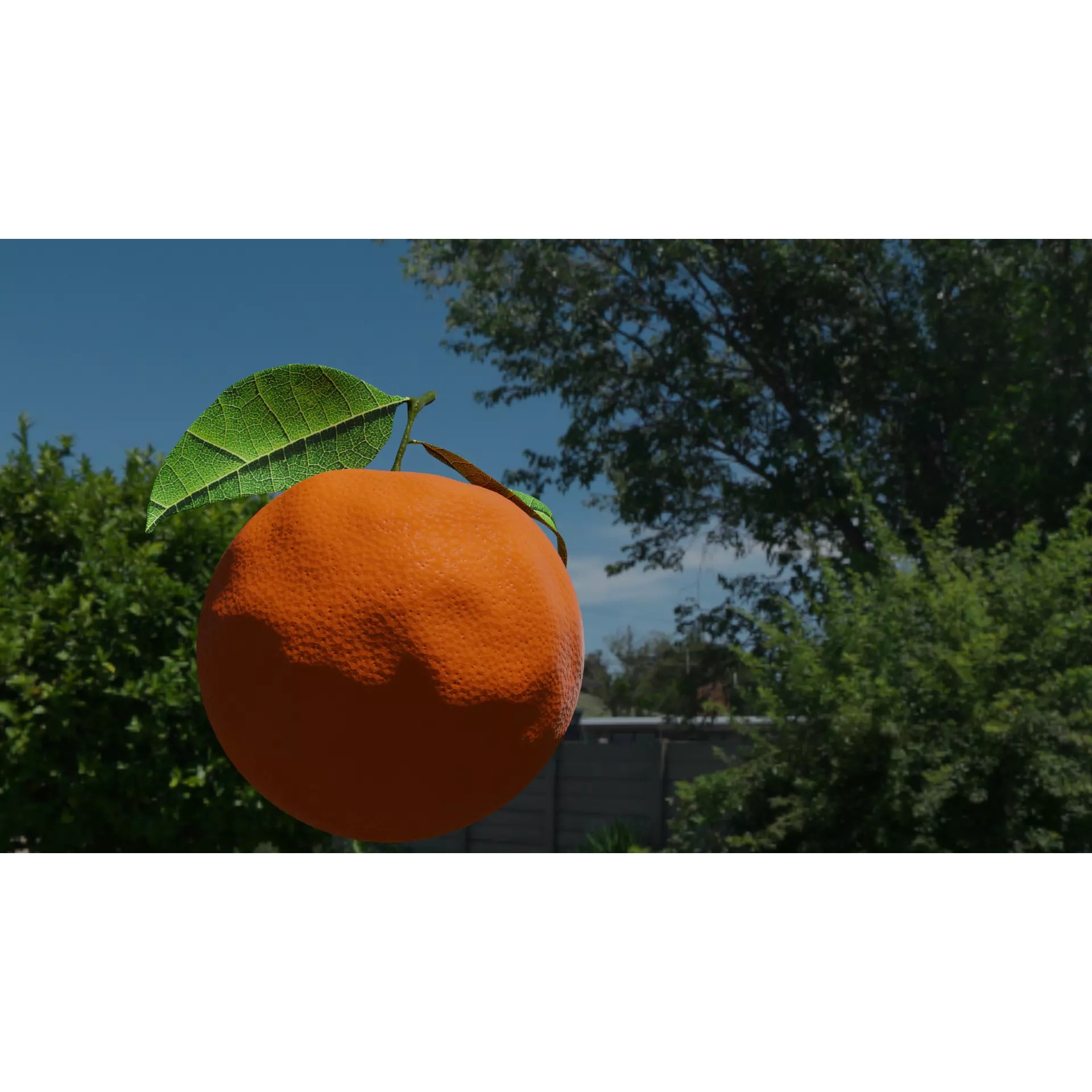 Hyper-realistic Orange Fruit with Leaves - PBR 3D Model - View 3