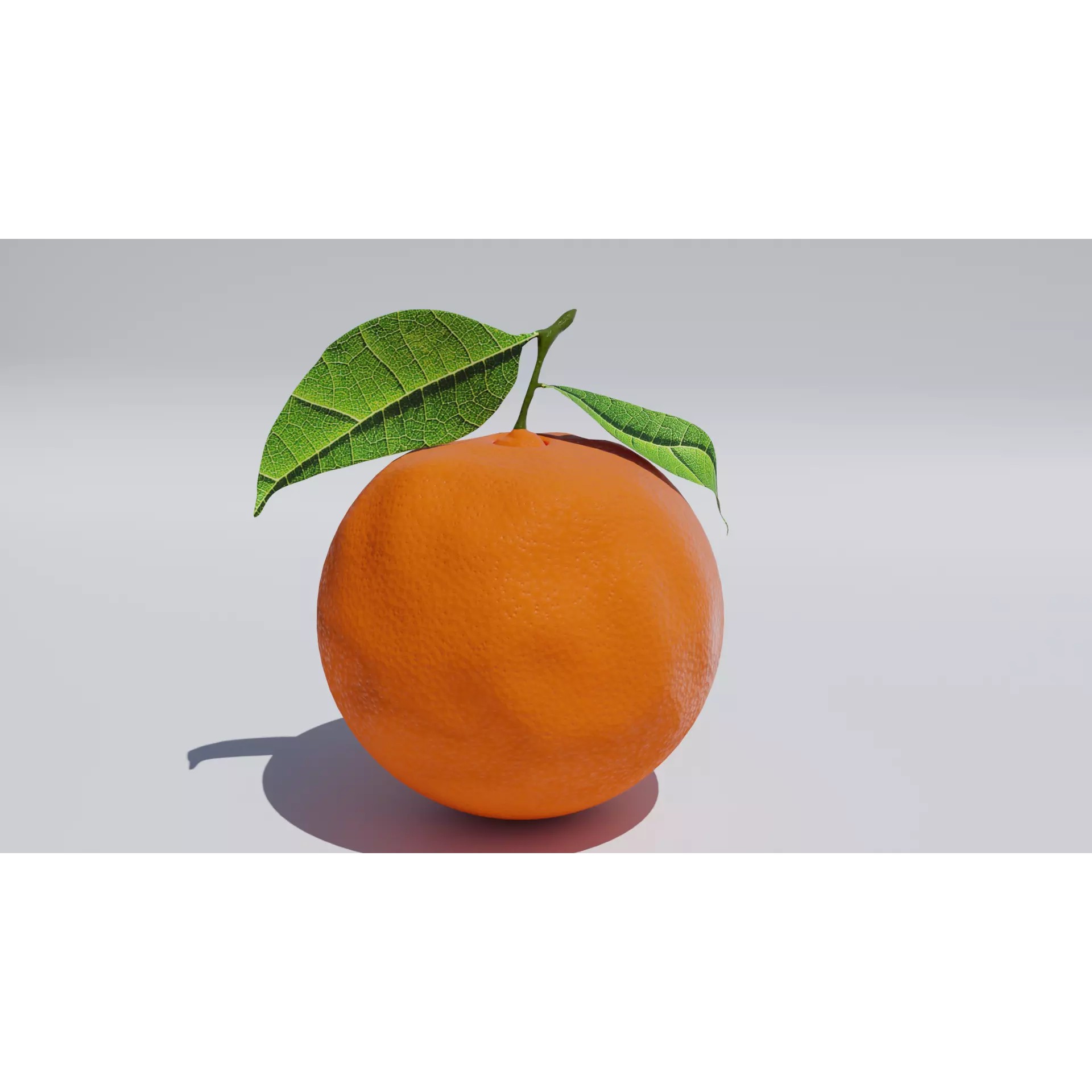 Hyper-realistic Orange Fruit with Leaves - PBR 3D Model - View 4
