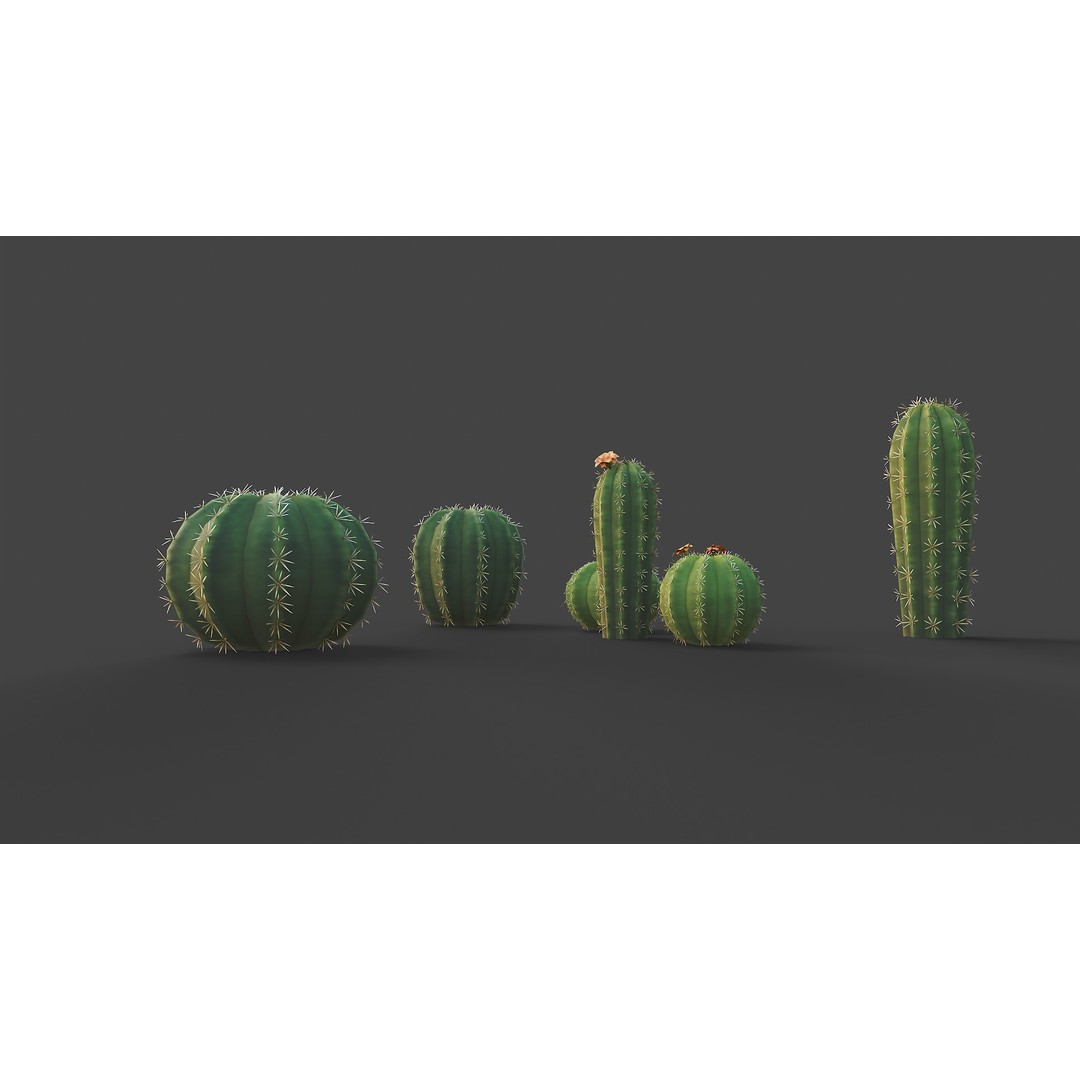 Barrel Cactus 3D Model – Low Poly Stylized Game Asset, FBX