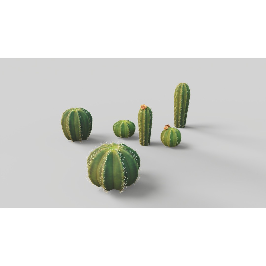 Barrel Cactus 3D Model – Low Poly Stylized Game Asset, FBX - View 12