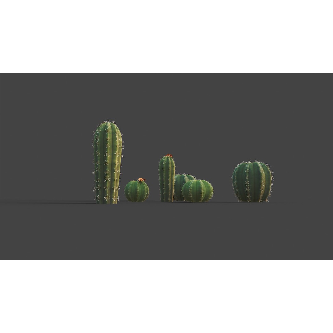 Barrel Cactus 3D Model – Low Poly Stylized Game Asset, FBX - View 13