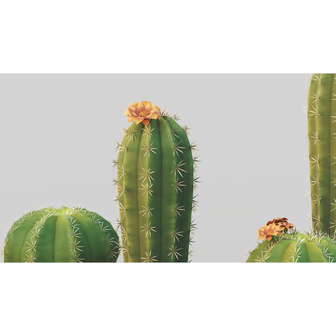 Barrel Cactus 3D Model – Low Poly Stylized Game Asset, FBX - View 14