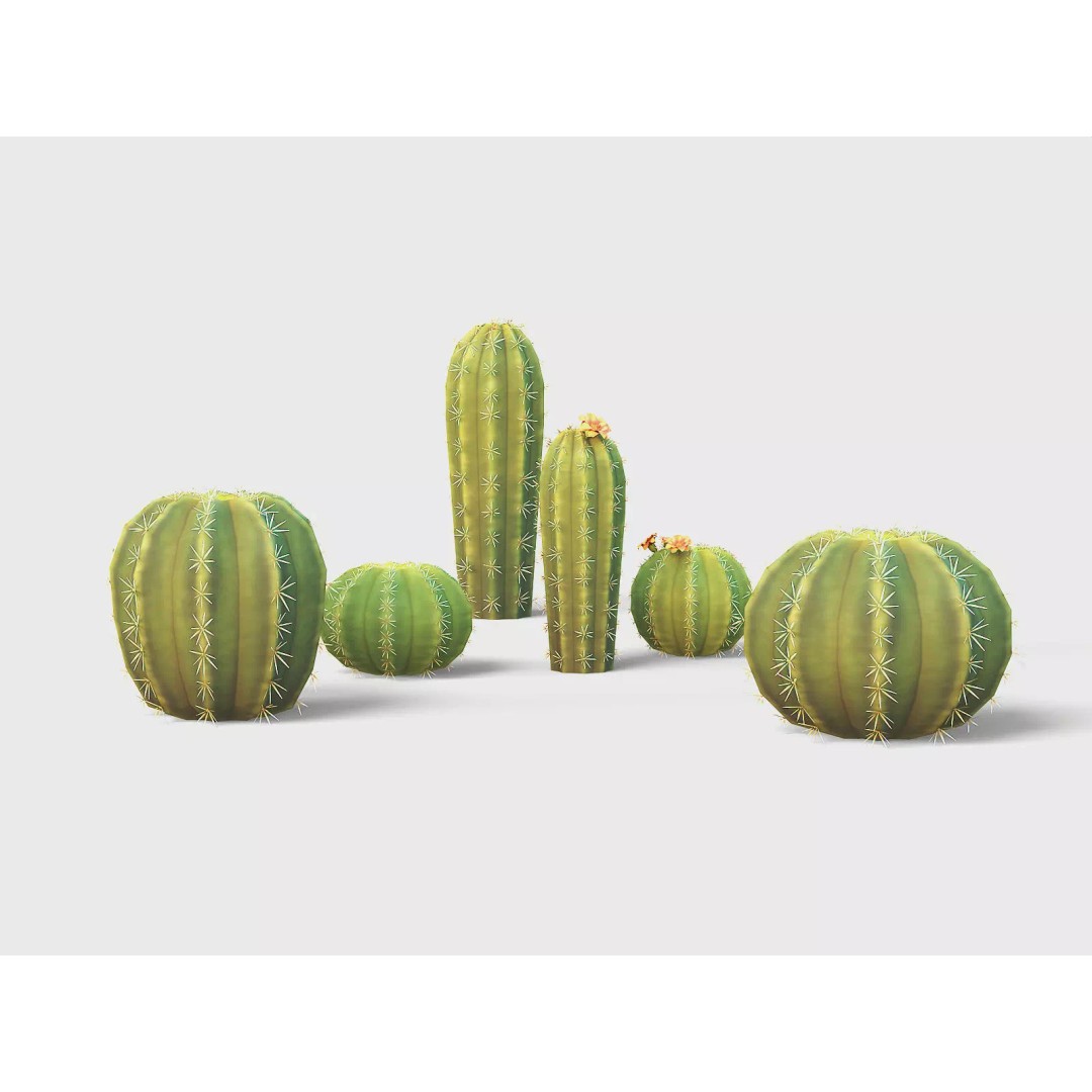 Barrel Cactus 3D Model – Low Poly Stylized Game Asset, FBX - View 2